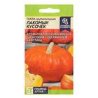 Семена Тыква "Лакомый Кусочек", Сем. Алт, ц/п, 1 г - Фото 1