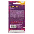Семена цветов Алиссум "Фиолетовая Королева", Сем. Алт, ц/п, 0,05 г - Фото 2