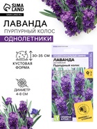 Семена цветов Лаванда «Пурпурный колос», узколистная, 5 шт., «Семена Алтая» - Фото 1