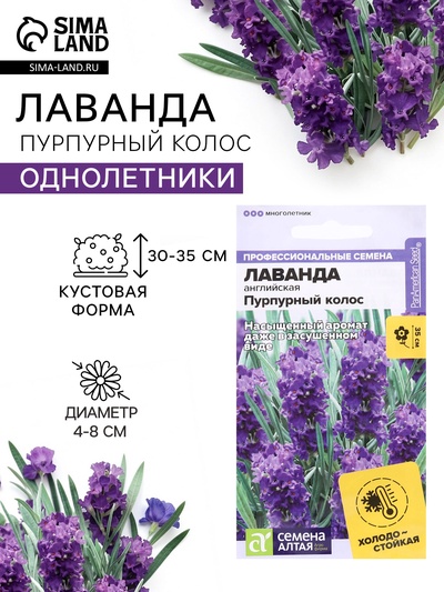 Семена цветов Лаванда «Пурпурный колос», узколистная, 5 шт., «Семена Алтая»