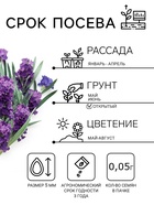 Семена цветов Лаванда «Пурпурный колос», узколистная, 5 шт., «Семена Алтая» - Фото 2