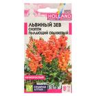 Семена цветов Львиный зев Снэппи "Пылающий оранжевый", Сем. Алт, ц/п, 10 шт - Фото 1