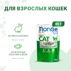 Влажный корм Monge Cat Grill для кошек, из кролика, пауч, 85 г - Фото 1