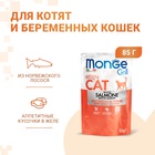 Влажный корм Monge Cat Grill для котят, с норвежским лососем, пауч, 85 г - Фото 1