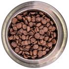 Беззерновой корм Monge Dog BWild GRAIN FREE для собак, ягненок/картофель/горох, 12 кг - Фото 2