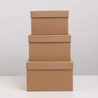 Набор коробок 3 в 1, упаковка подарочная, «Крафт», 32.5×20×12.5 - 26×17×10 см - фото 57950436