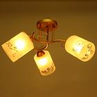 Люстра 1082/3GD 40Вт Е27 золото 48х48х24 см BayerLux - фото 21372475