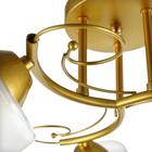 Люстра 1082/3GD 40Вт Е27 золото 48х48х24 см BayerLux - фото 21372476