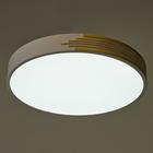 Люстра с ПДУ 1206/1WT LED 90Вт 3000-6000К бело-золотой 47х47х9 см BayerLux - фото 43715440