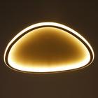 Люстра с ПДУ 1209/1 LED 120Вт 3000-6000К белый 47х47х8 см BayerLux - фото 49174680