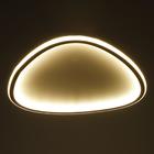 Люстра с ПДУ 1209/1 LED 120Вт 3000-6000К белый 47х47х8 см BayerLux - фото 49174682