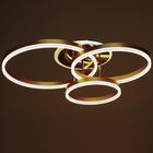 Люстра с ПДУ 1342/3 LED 160Вт 3000-6000К золото 77х55х20 см BayerLux 5540530