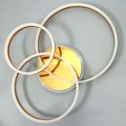 Люстра с ПДУ 1342/3 LED 160Вт 3000-6000К золото 77х55х20 см BayerLux 5540530