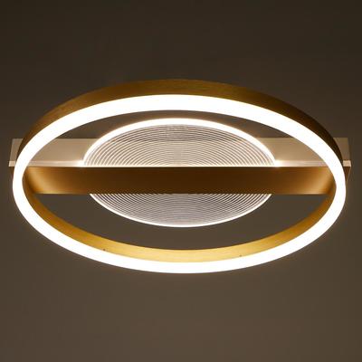 Люстра с пультом BayerLux 1343/2, светодиодная, 100 Вт, 3000-6000К, золотистая, 52×50×9 см
