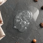 Форма для шоколада и конфет «Кисонька», 127×93×14 мм, пластик, прозрачная - Фото 2