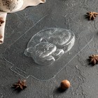 Форма для шоколада и конфет «Кисонька», 127×93×14 мм, пластик, прозрачная - Фото 3