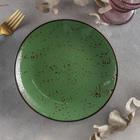 Тарелка керамическая обеденная «Созвездие», d=21 см, цвет зелёный - фото 9406522