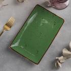 Блюдо керамическое прямоугольное «Созвездие», 22×14 см, цвет зелёный - фото 3759324