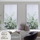 Штора рулонная «Ветви», блэкаут, 60×200 см, цвет белый - Фото 1