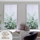 Штора рулонная «Ветви», блэкаут, 120×200 см, белая - Фото 1