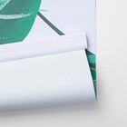 Штора рулонная «Ветви», блэкаут, 120×200 см, белая - Фото 7