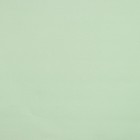 Штора рулонная «Нюд», блэкаут, 60×250 см, цвет зелёный - Фото 2