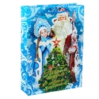 Пакет ламинированный вертикальный «Дед Мороз и Снегурочка», 12 × 15 см - Фото 1