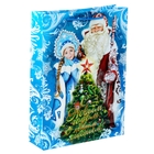 Пакет ламинированный вертикальный «Дед Мороз и Снегурочка», 12 × 15 см - Фото 3