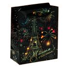 Пакет ламинированный вертикальный «Огни Парижа», 12 × 15 см - Фото 1