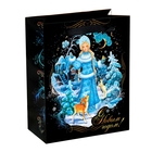 Пакет ламинированный вертикальный «Снегурочка», 12 × 15 см - Фото 1