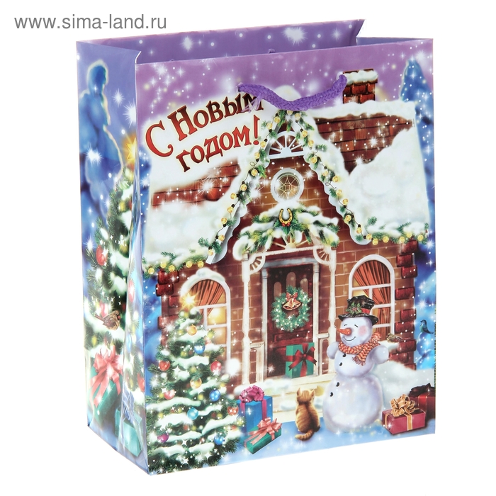 Пакет ламинированный вертикальный (блестки) «Снежный домик», 18 × 23 см - Фото 1