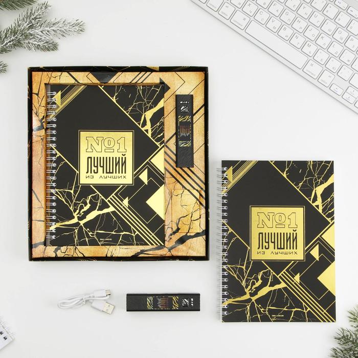 Набор ежедневник и зарядное устройство, мод. РВ-02, "Tiger", 22,7 х 24,5 см - Фото 1