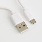 Набор ежедневник и зарядное устройство, мод. РВ-02, "Tiger", 22,7 х 24,5 см - Фото 5