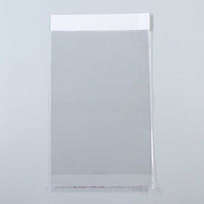 Пакет БОПП с клеевым клапаном, прозрачный 23 х 33/4 см, еврослот, 30 мкм - Фото 1