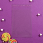 Пакет БОПП с клеевым клапаном, прозрачный для фасовки и упаковки, 14×20/4 см, 25 мкм - Фото 3