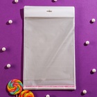 Пакет БОПП с клеевым клапаном, прозрачный 20 х 25/4 см, еврослот, 30 мкм (комплект 100 шт) - фото 27721003