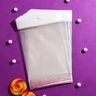 Пакет БОПП с клеевым клапаном 16 х 20/4 cм, еврослот, 25 мкм (100 шт) - фото 804612246