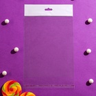 Пакет БОПП с клеевым клапаном 16 х 20/4 cм, еврослот, 25 мкм (100 шт) - фото 807499050