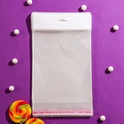 Пакет БОПП с клеевым клапаном 16 х 20/4 cм, еврослот, 25 мкм (100 шт) - фото 807499053