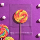 Пакет с липкой лентой 10 х 10/4 см, еврослот, 30 мкм (100 шт) - фото 807467641