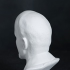 Бюст «Ленин В.И.», фигурка гипс, 13×8×8 см  (артикул 6888533)  большой выбор товаров оптом и в розницу по низким ценам с доставкой