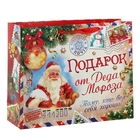 Пакет ламинированный горизонтальный «Подарок от Деда Мороза», 23 × 27 см - Фото 1