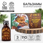 Подарочный набор новогодний, безалкогольных бальзамов 3 шт.×110 мл «Витаминный сбор» - Фото 1