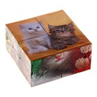Кубики "Котята", 4 штуки - Фото 1