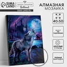 Алмазная мозаика с полным заполнением на подрамнике «Волк в лесу», 40×50 см - Фото 1
