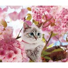 Алмазная мозаика с полным заполнением «Котик на дереве» 50х60 см - Фото 1