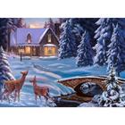 Новогодняя алмазная мозаика с частичным заполнением на раме «Новый год. Зимний пейзаж», 30 х 40 см - фото 321303784