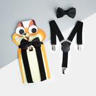Набор детский KAFTAN "Кот" подтяжки и галстук-бабочка - фото 320544435