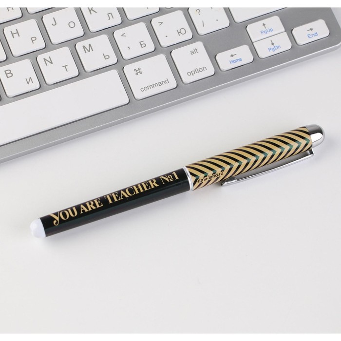 Ручка с колпачком Teacher №1, пластик, синяя паста, фурнитура серебро, 1.0 мм - фото 1883757033