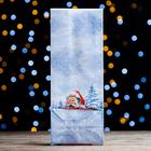 Пакет бумажный фасовочный "Дед Мороз", 10 х 26 х 7 см (комплект 20 шт) - фото 24475462